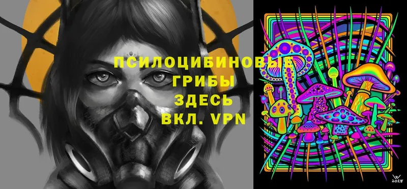 наркота Находка mega ССЫЛКА Галлюциногенные грибы MAGIC MUSHROOMS
