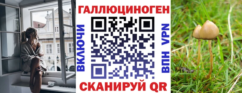 где купить   Находка  Псилоцибиновые грибы мицелий 